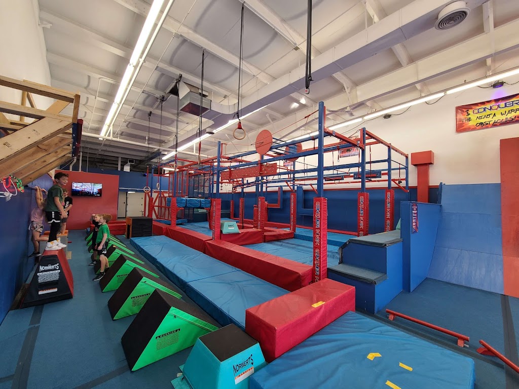  Conquer Ninja Gyms Fargo