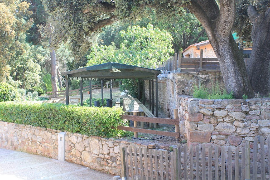 Can Juliana "Humor Amarillo y Paintball"