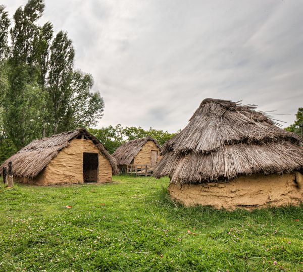 Parque Neolitico de la Draga