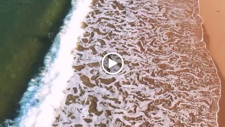 The Surf House Cafe playa — Videos