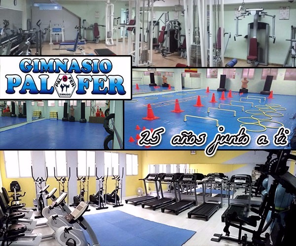 Gimnasio Palfer