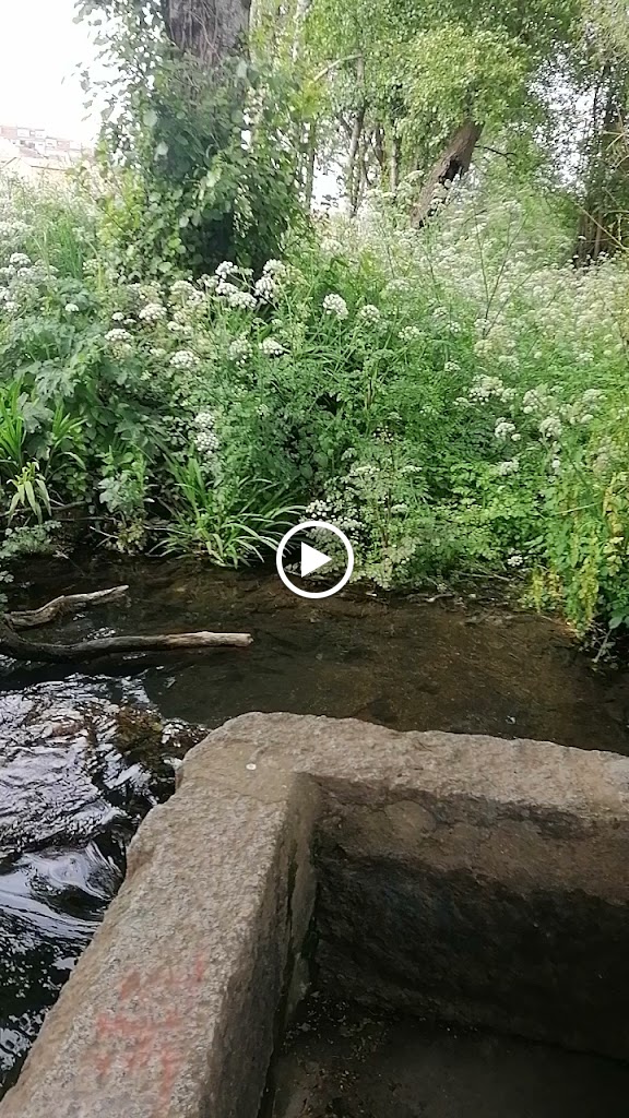 O Fogon da Ria — Videos