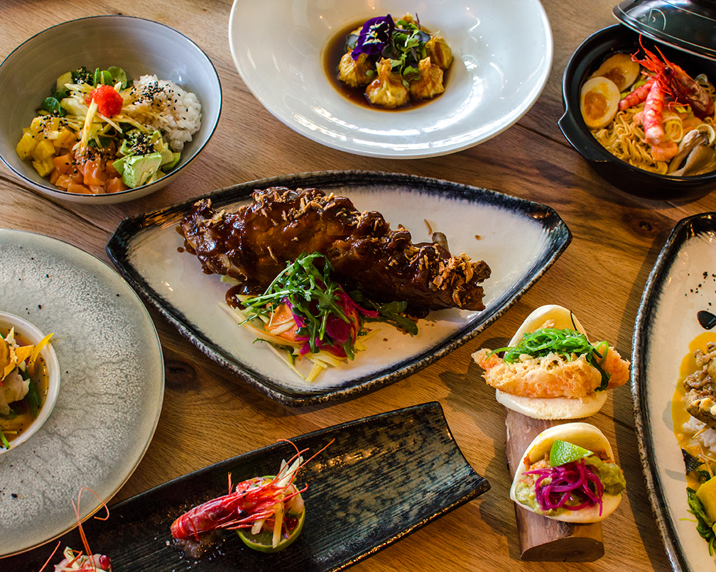 Monkey Fun Kitchen | Recomendado — Comida y bebida