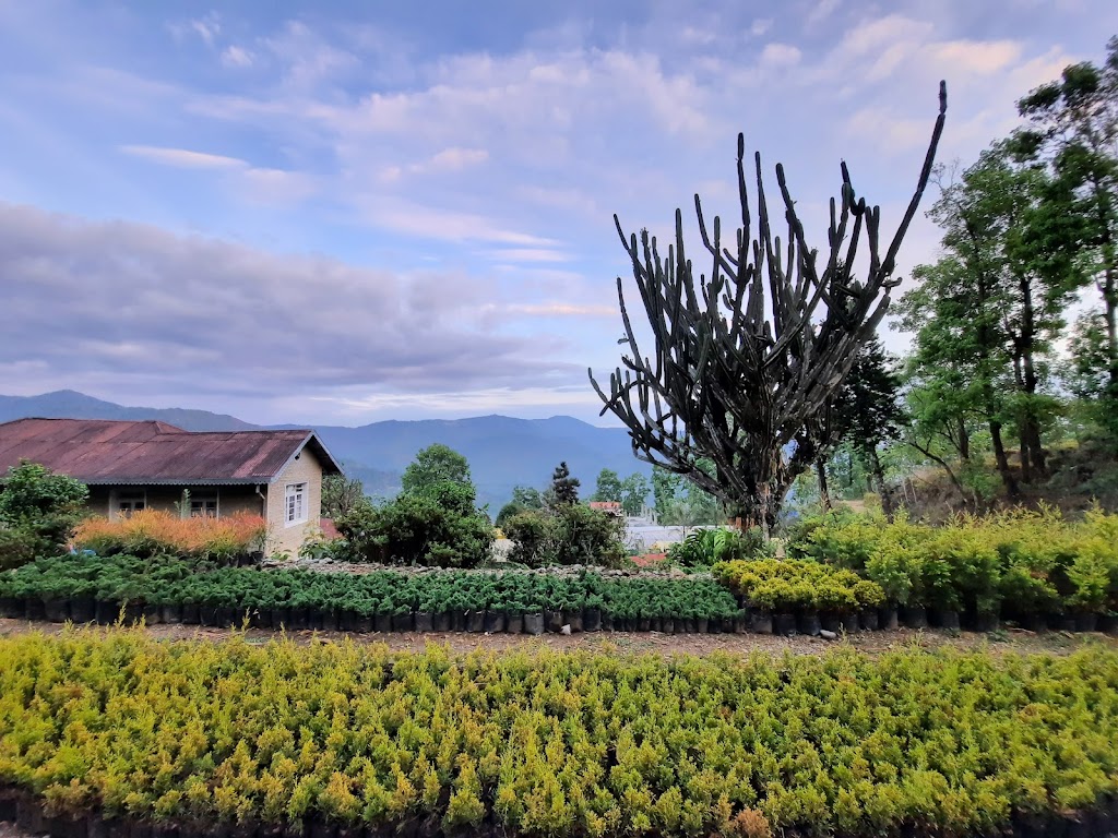 Aaravi Garden Homestay