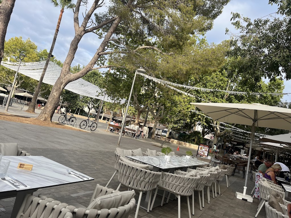 Il Tano Port de Pollenca