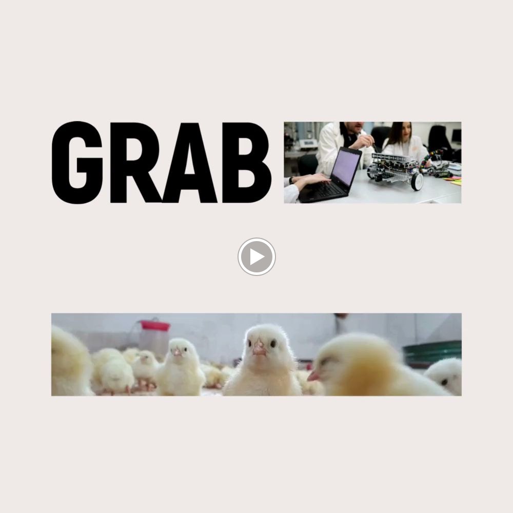 Videos