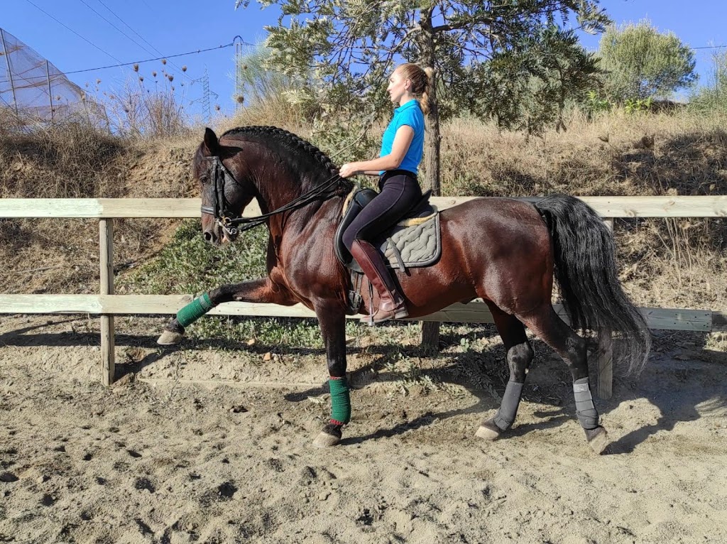 Centro Ecuestre La Fe