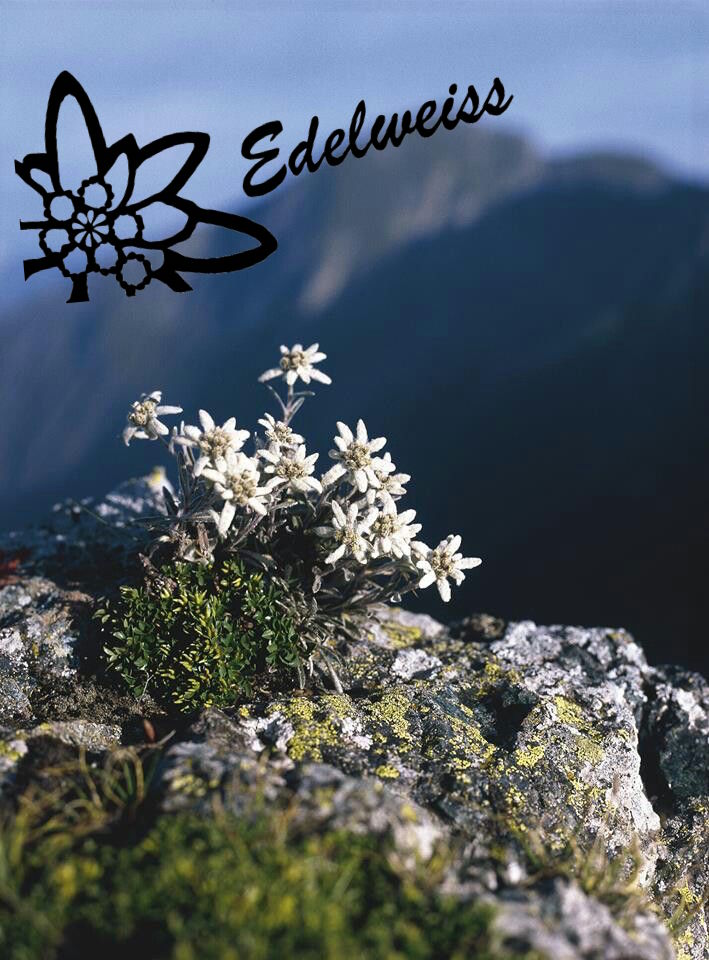 Edelweiss Estetica