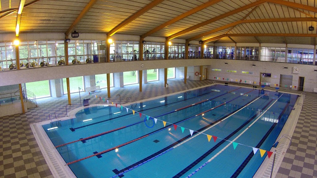 Global Sports Centro de Ocio Torrelago — Del propietario