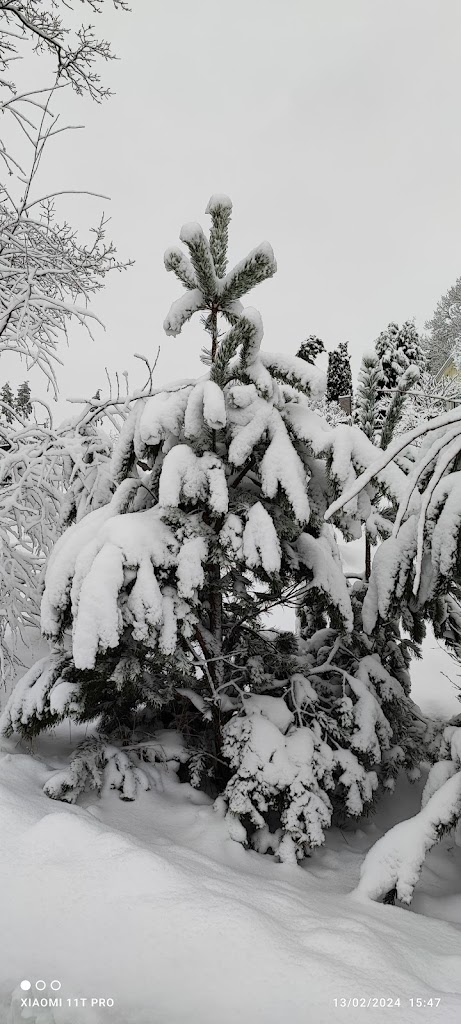 Bild av Björkalunds lekplats