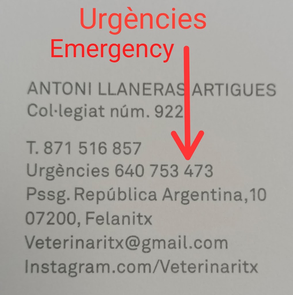 Veterinaritx Clinica veterinaria