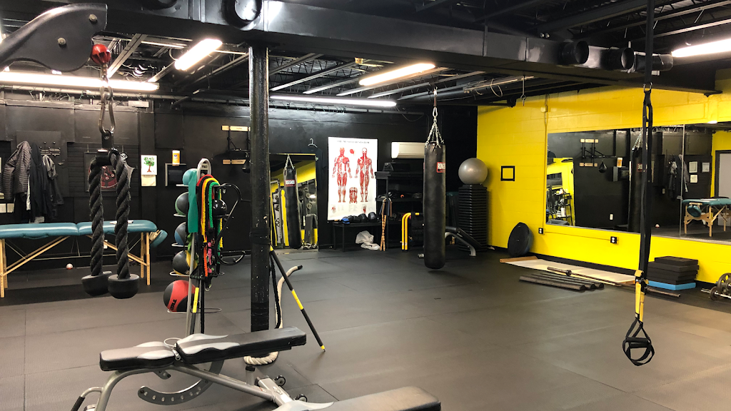 Vigor Transformations in Newton