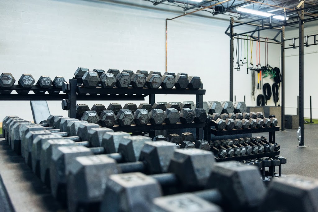  BGI Health & Performance BGI Fitness