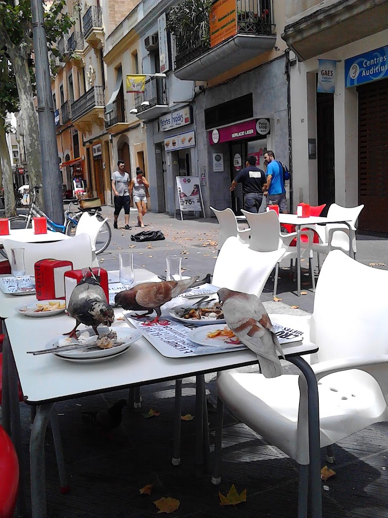 El Superpollo Restaurante — Ambiente