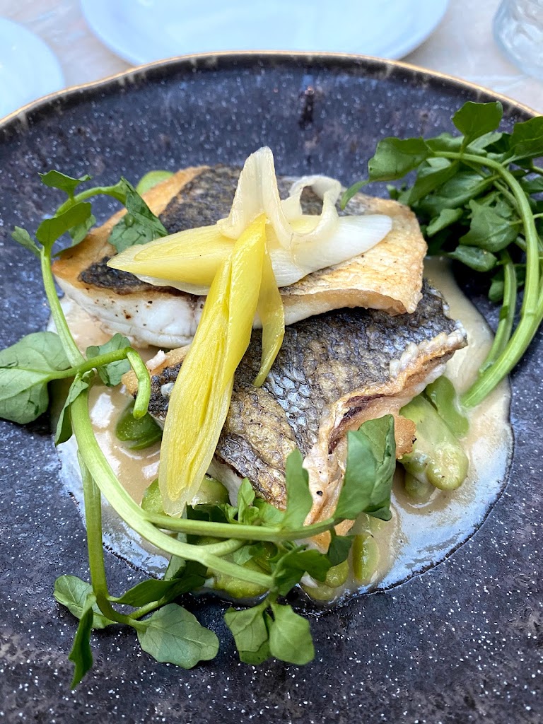 Sea bass
