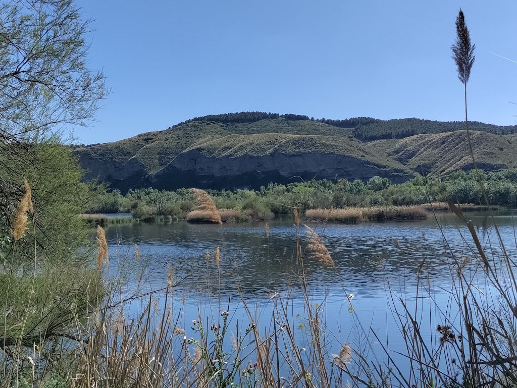 Laguna El Picon de los Conejos