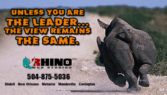 Rhino Web Studios