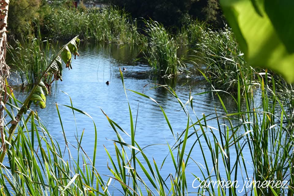 Lagunas de Bonanza