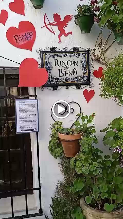 Rincon del Beso — Videos