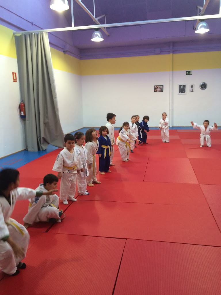Escuela de Judo Fresnos