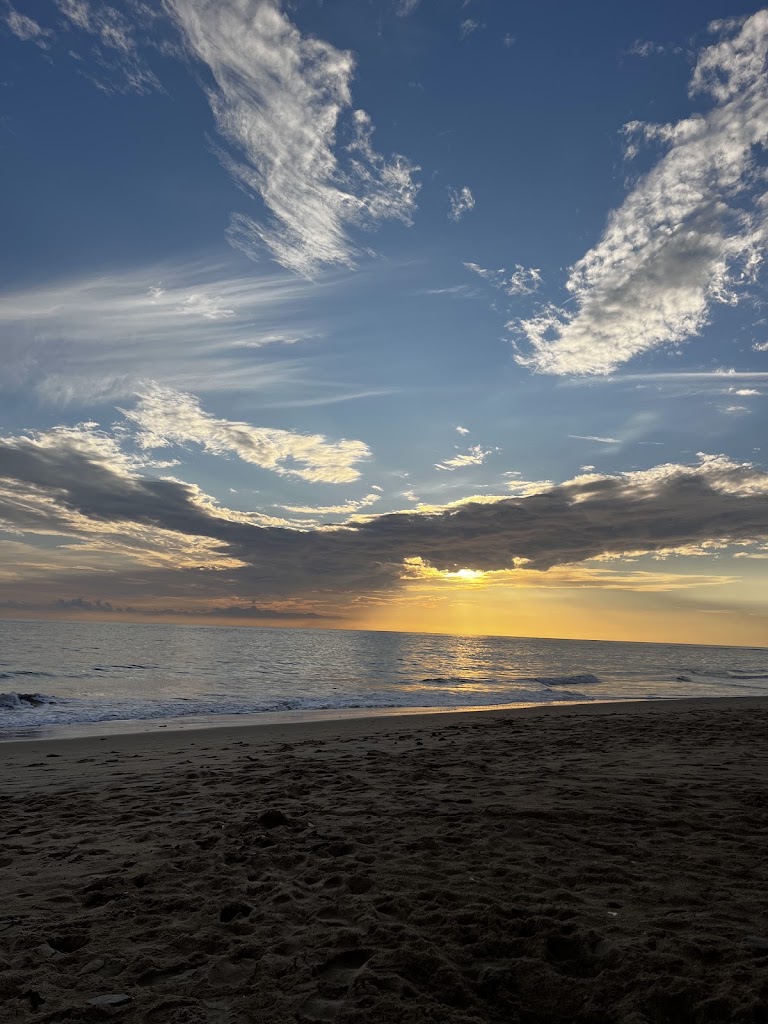 Los Corrales de Rota — Mas recientes