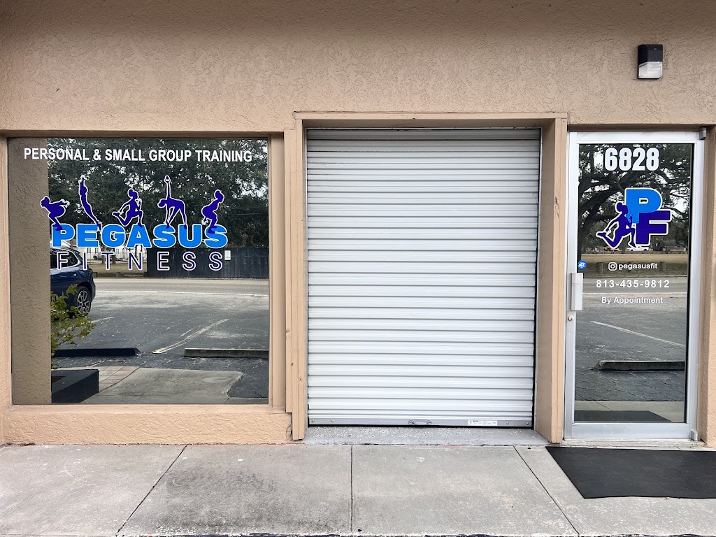  Pegasus Fitness