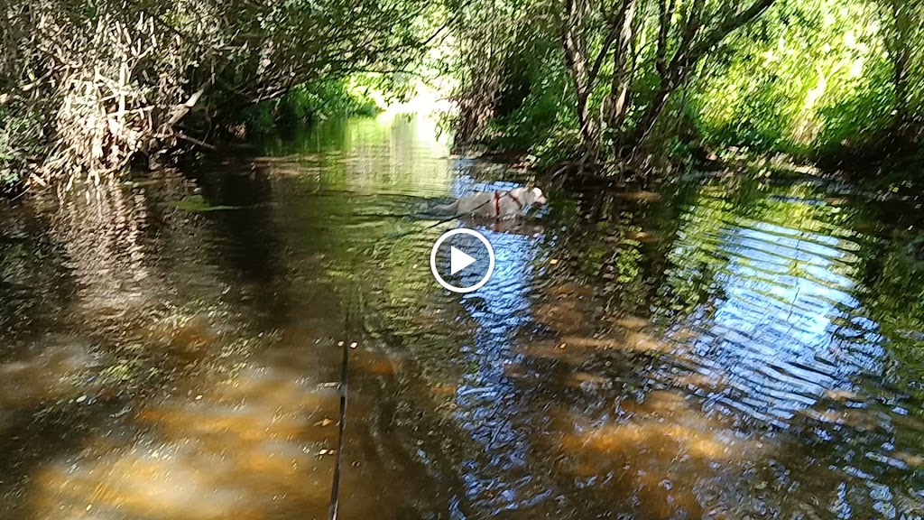 Les Arenes Parc Natural