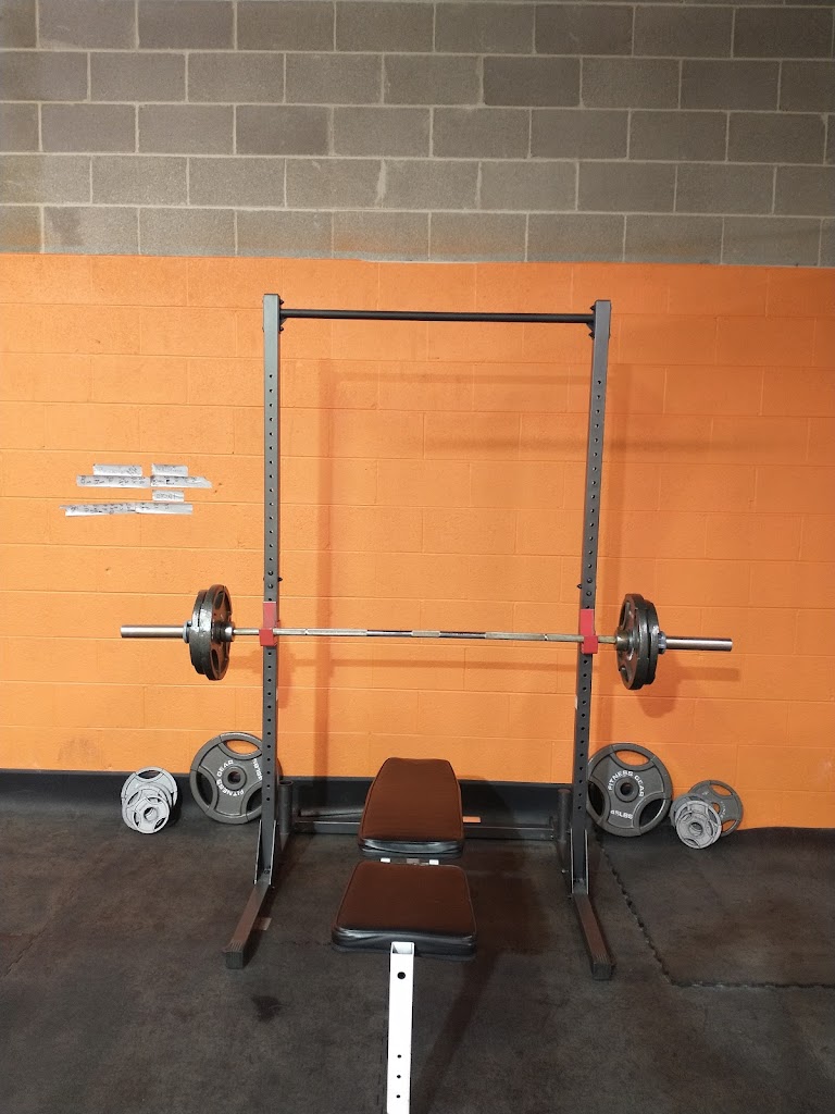  Coaching for Bariatric Success