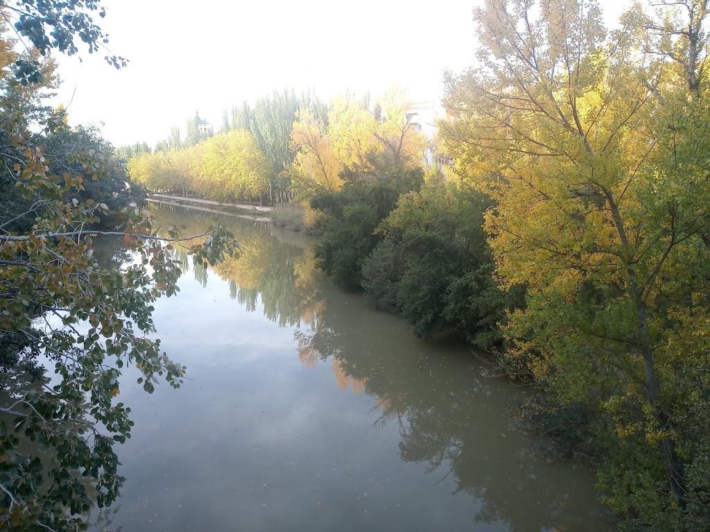 Espacio verde "El Picon"