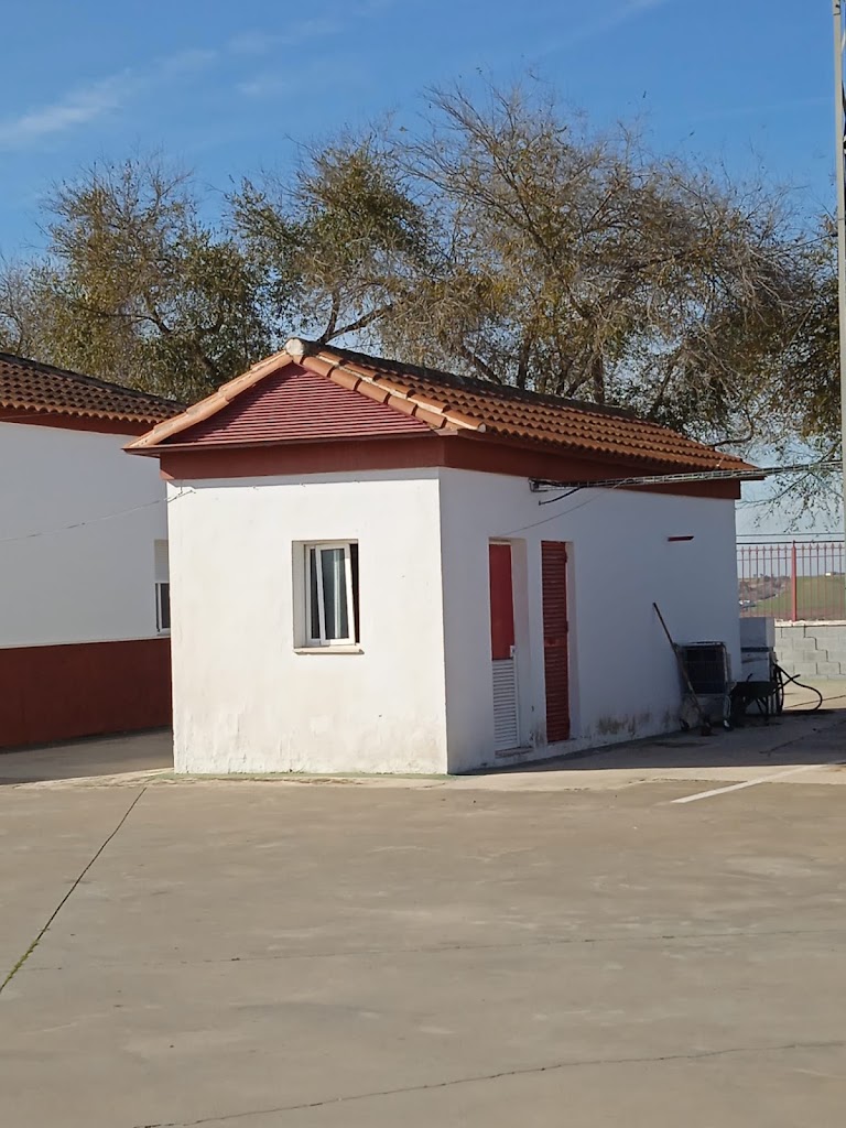 Parking Transportes TEU, S.C.A.-ECIJA-SEVILLA — Del propietario