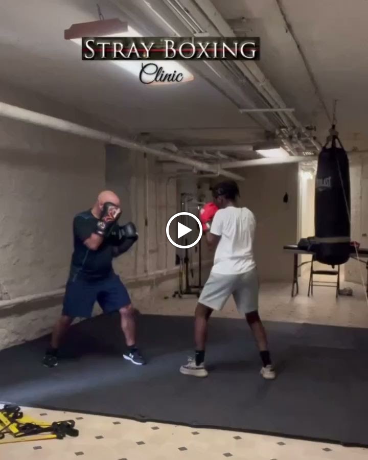  Stray Boxing Clinic