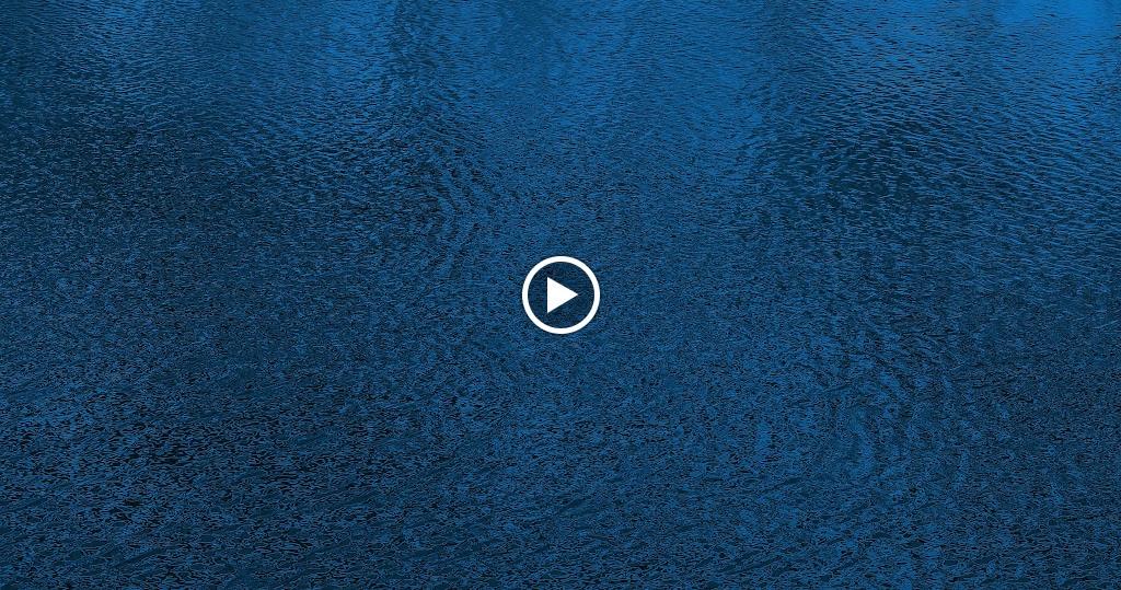  Fit Nation - Fitness & Nutrition