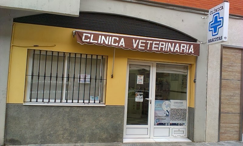 CLINICA VETERINARIA MONTILLA mascotas