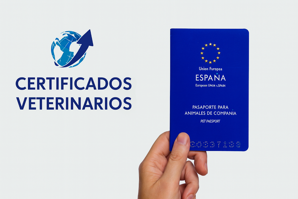 CERTIFICADO CEXGAN