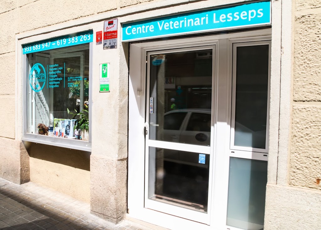 CENTRE VETERINARI LESSEPS — Del propietario