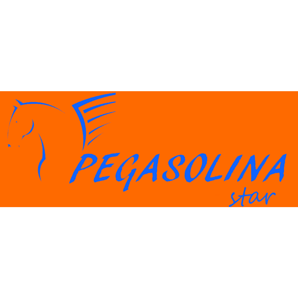 Pegasolina Star — Del propietario