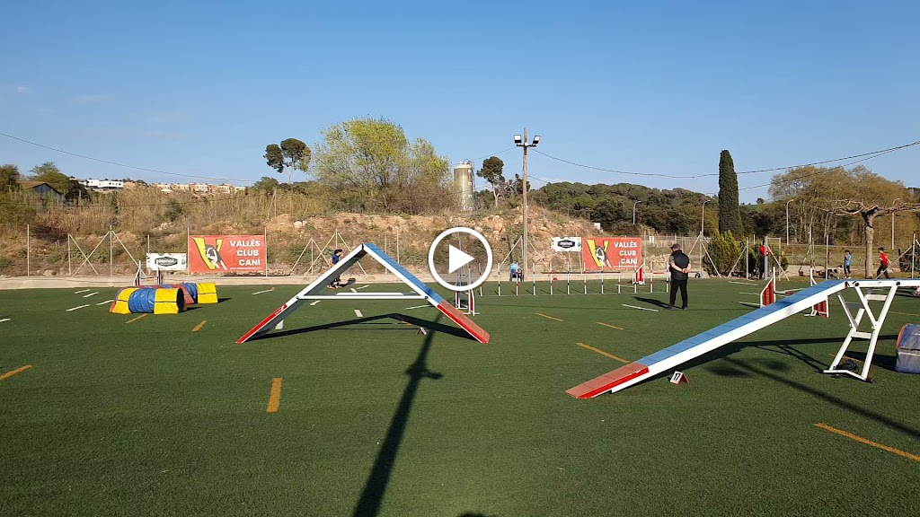 Valles Club Cani De Agility