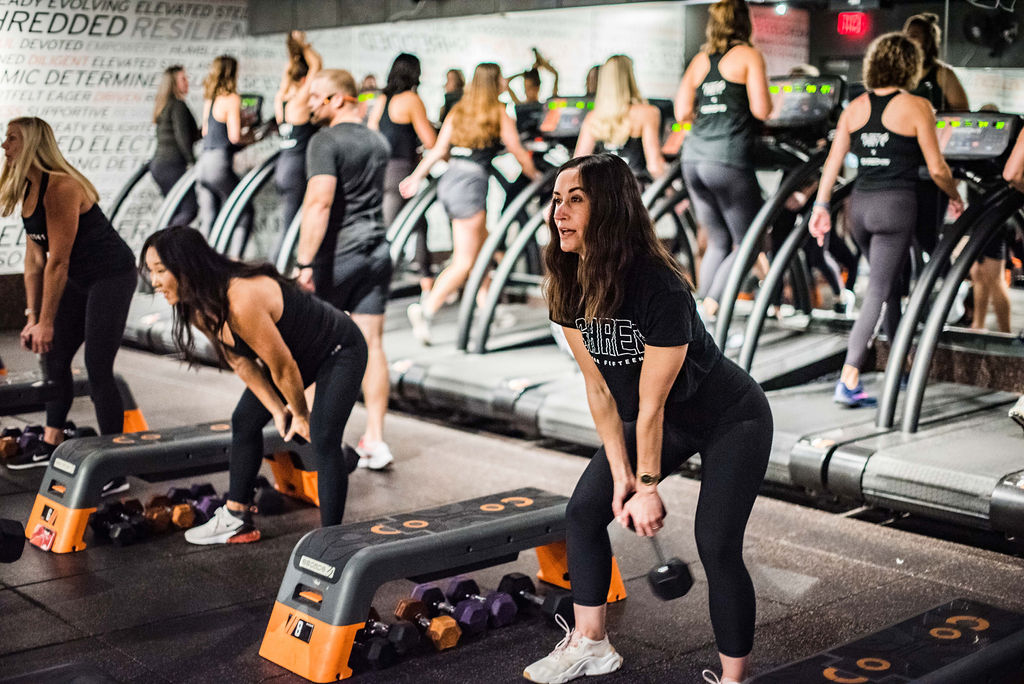  Shred415 Hamilton Quarter