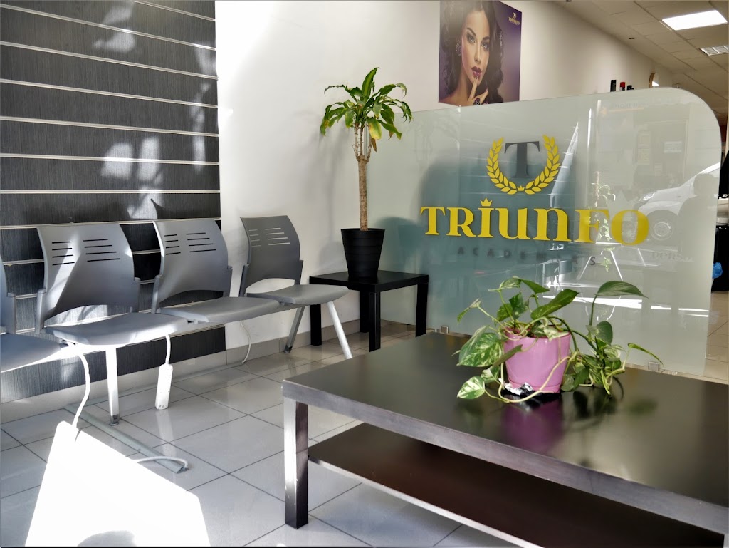 Academia Triunfo - Leganes II