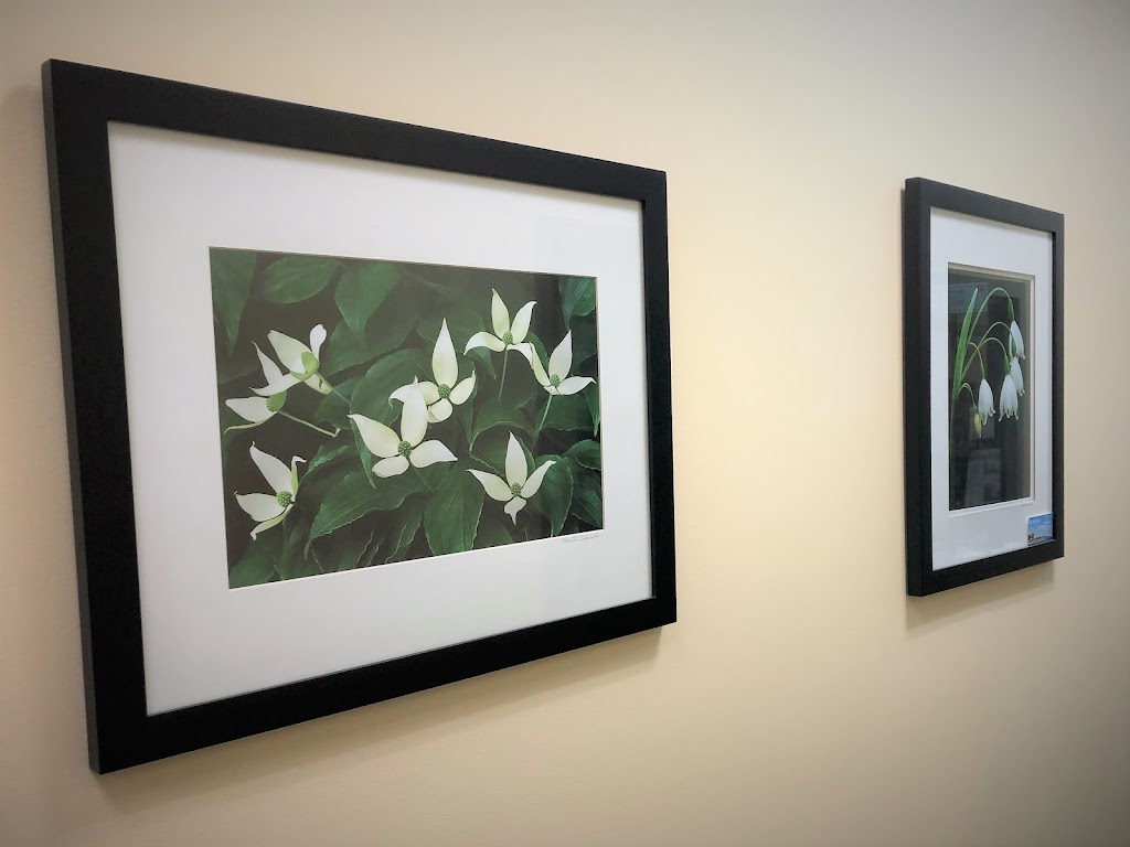 Northampton Integrative Medicine in Northampton