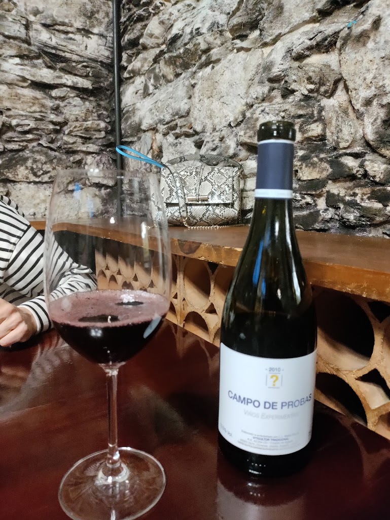 Bodegon Bacorino — Vino