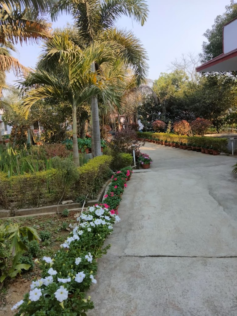 The Weekend Resort