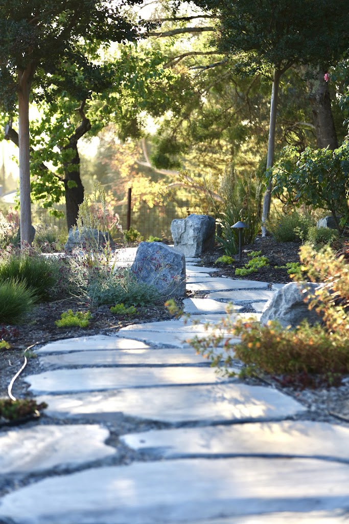 Landscape designer in Petaluma