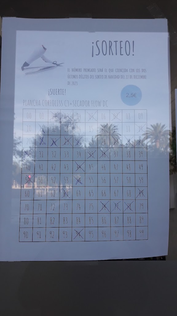 Illusions Estilistas — Del propietario