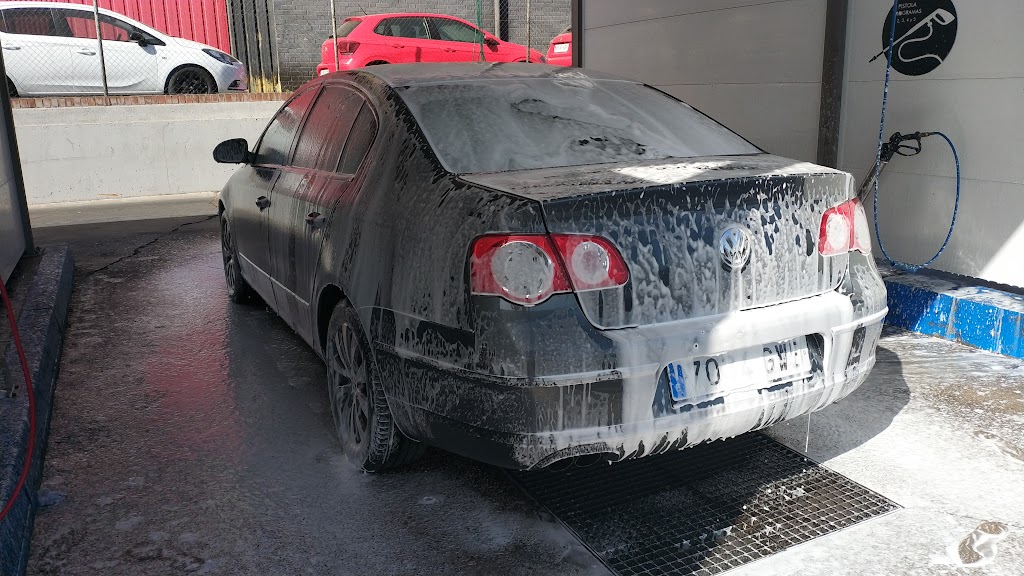 Autolavado y Lavado de Mascotas Frii