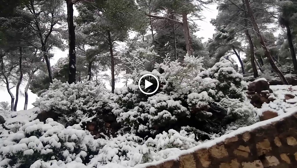 Campo de Tiro — Videos