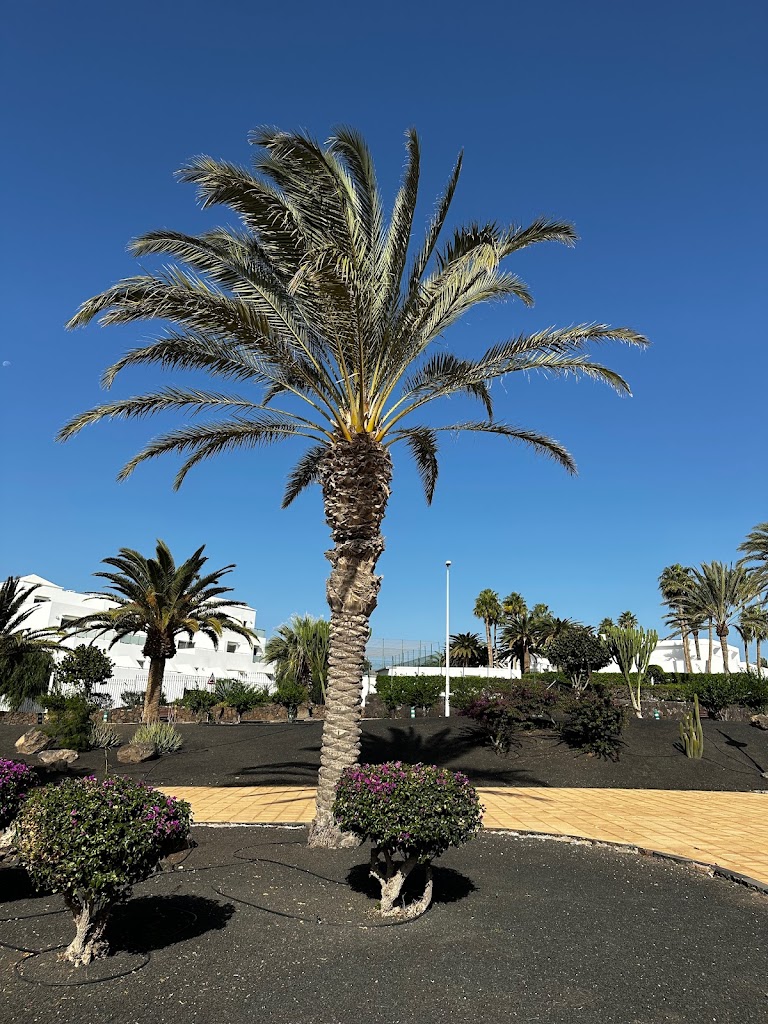 Plaza de Las Naciones