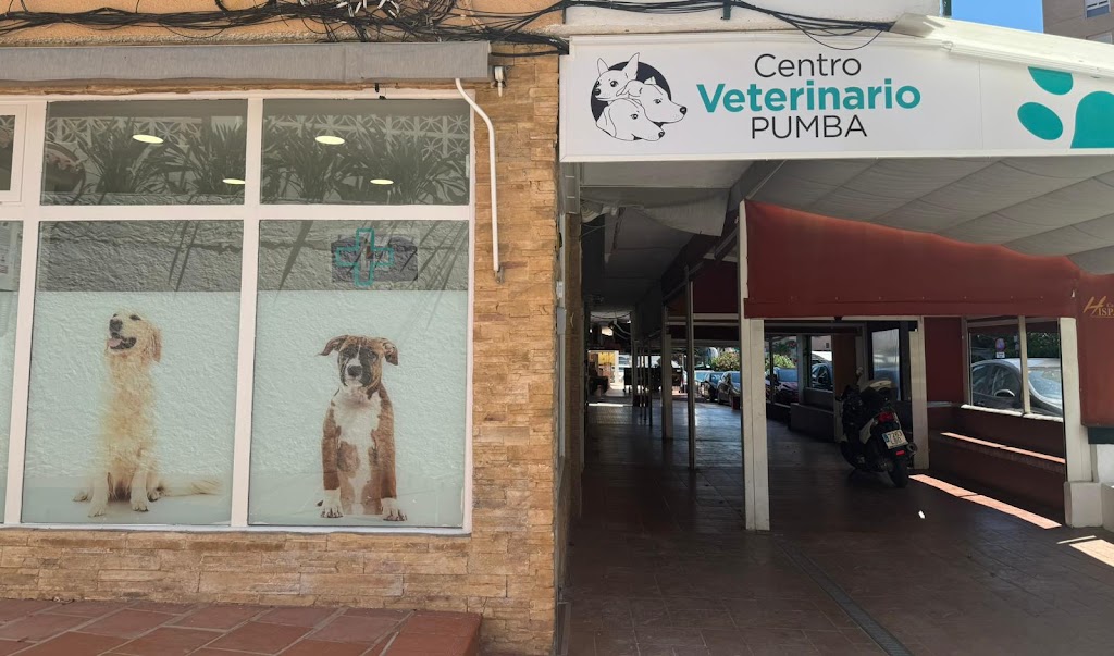 Clinica Veterinaria Pumba | Torremolinos — Del propietario
