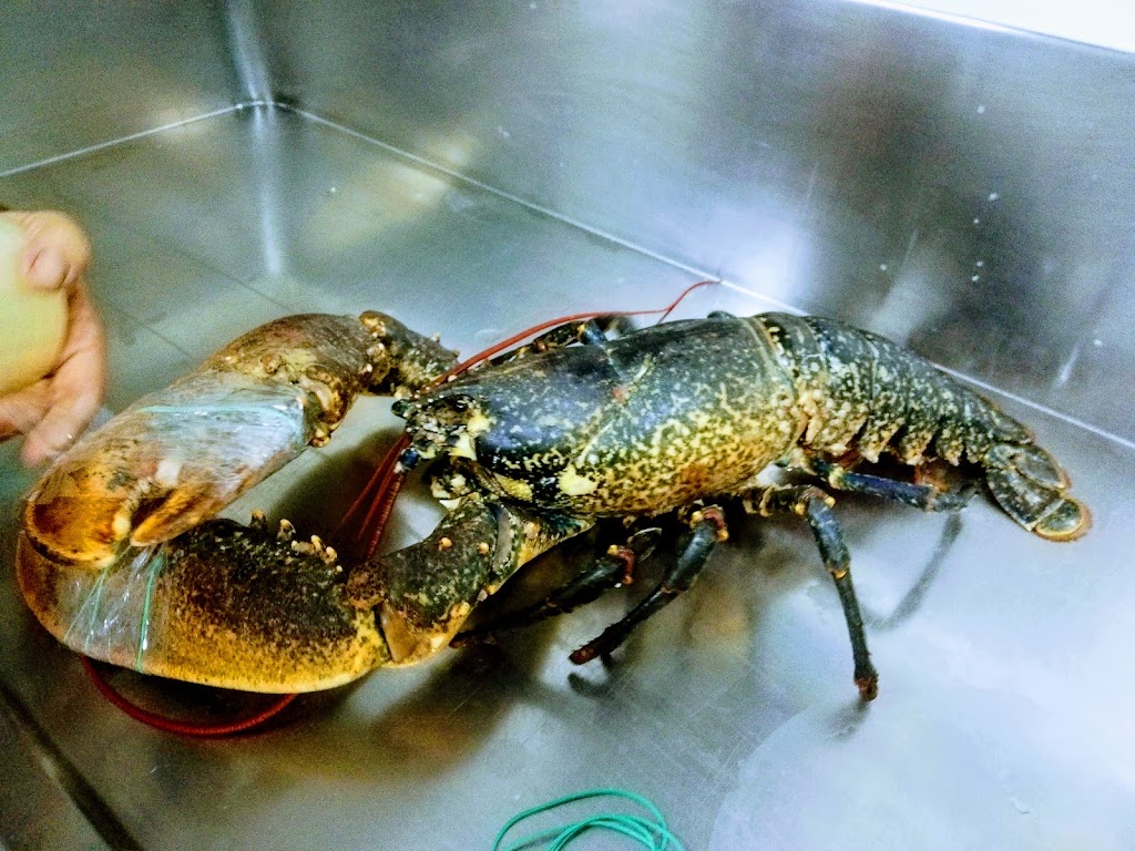 Cerveceria y Freiduria German — Producto del mar