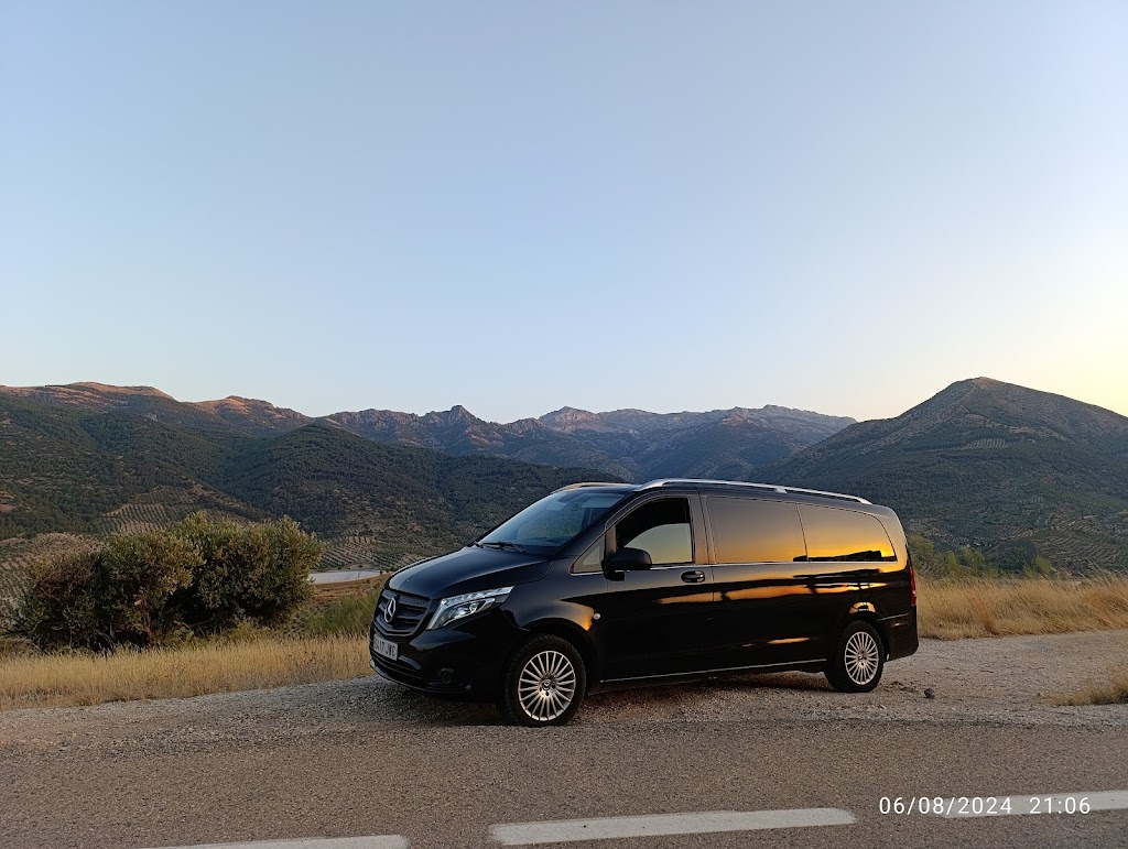 SERVICIOS VTC Y TAXI S.L